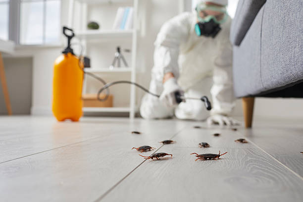 Trusted Cockroach Control service in Churchill, PA - Nex Pest Control