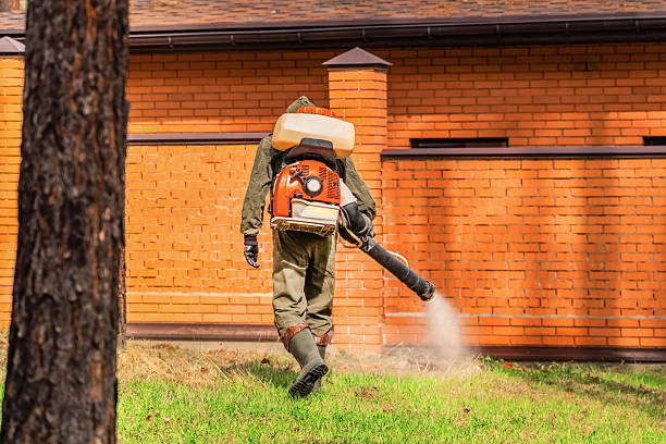 Trusted Termite Control service in Churchill, PA - Nex Pest Control